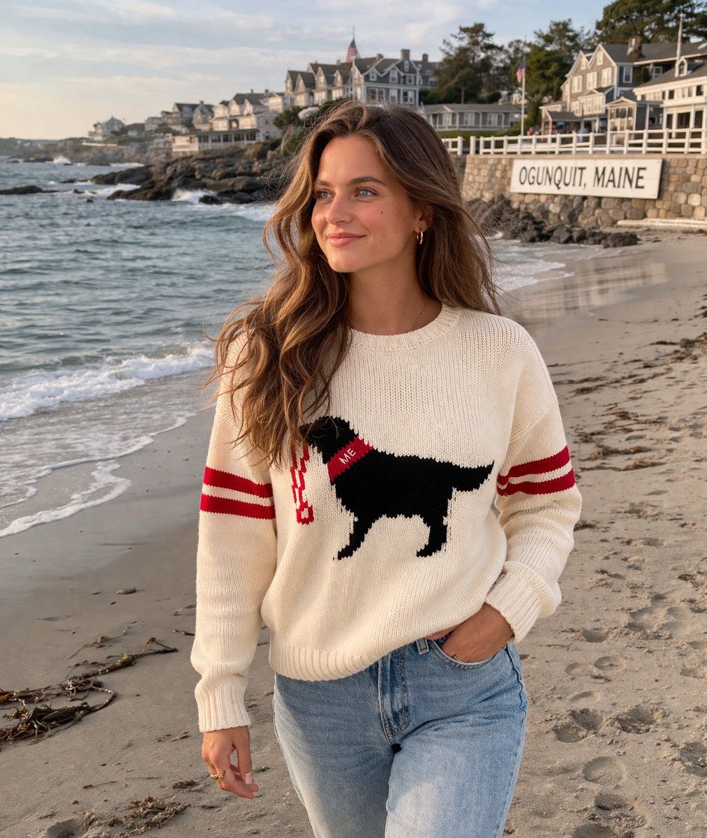 Black Lab with ME Collar Sweater – docksquareclothiers