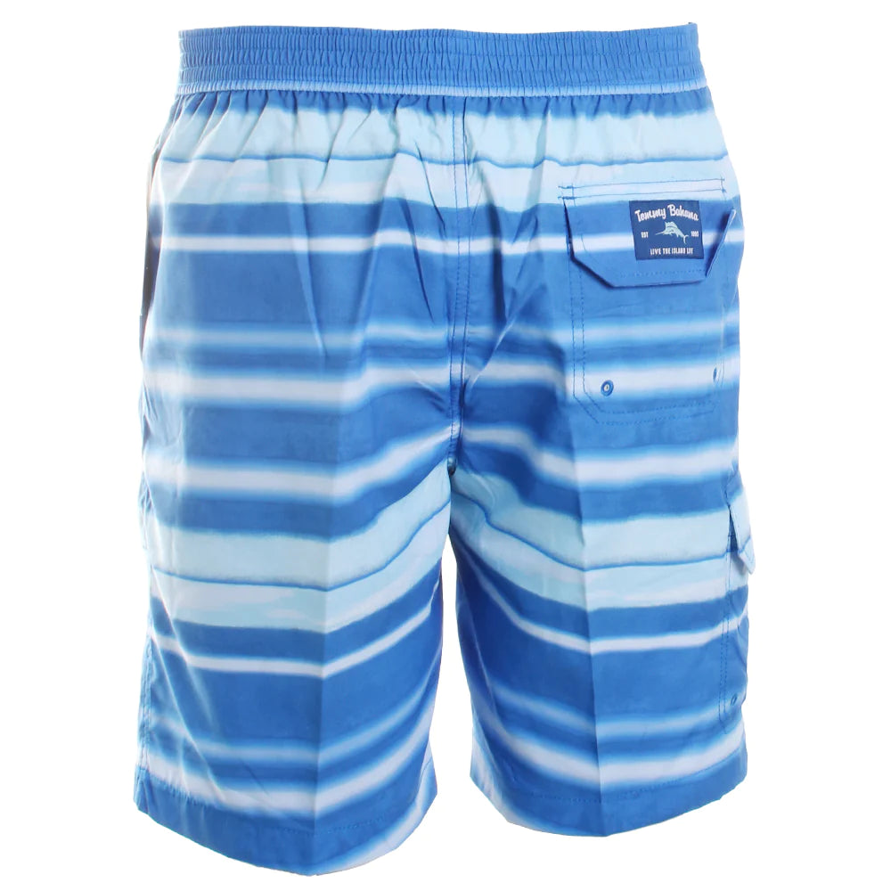 Baja Striped Shores Swim Trunks – docksquareclothiers